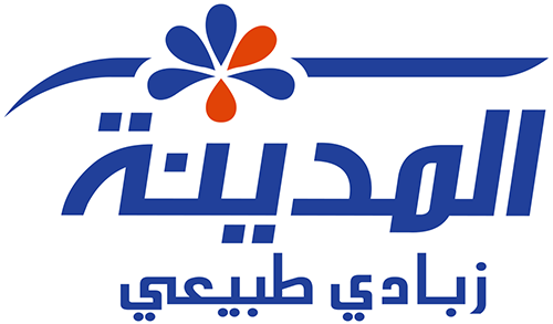 المدينة