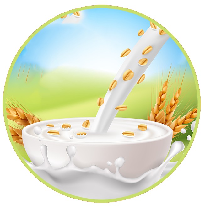 ألبان